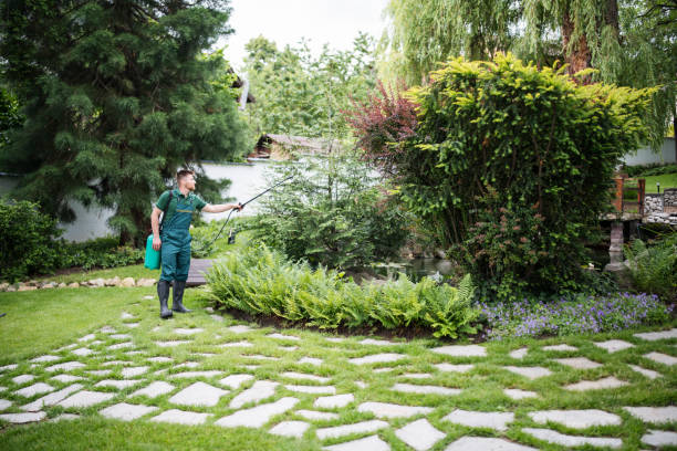Best Pest Control Near Me  in Avondale, PA