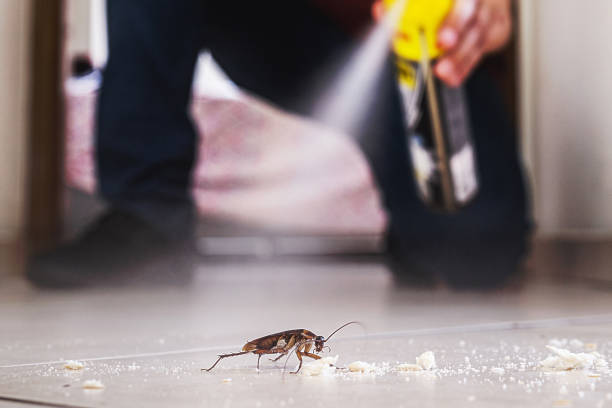 Best Flea Control Services  in Avondale, PA