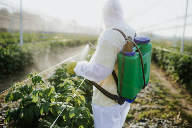 Best Bed Bug Extermination  in Avondale, PA